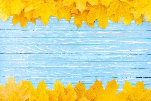 Autumn leaves frame on one down and up side wooden blue background top view Fall Border yellow and Orange Leaves vintage wood table Copy space. Mock up for your design. Display for product or text