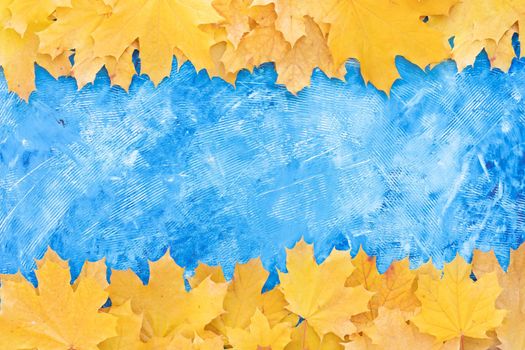 Autumn leaves frame on up down side blue structured background top view Fall Border yellow and Orange Leaves vintage background table Copy space. Mock up for your design. Display for product or text