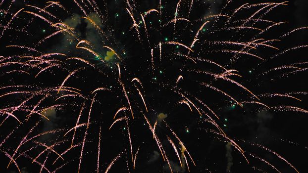 A colourful explosion of fireworks in the night sky