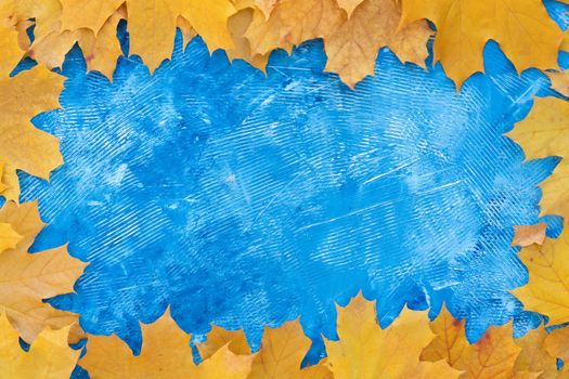 Autumn leaves frame on all side blue structured background top view Fall Border yellow and Orange Leaves vintage background table Copy space. Mock up for your design. Display for product or text