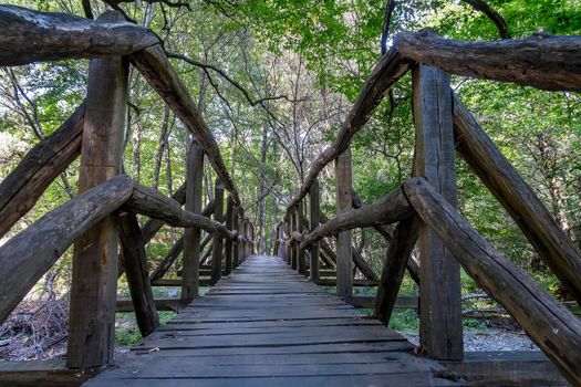 Beautiful wooden hand-made bridge in the Ecopath in mountain