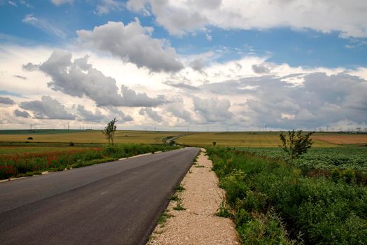 Empty road and field with beautiful fluffy clouds in the sky. Scenic view.