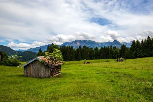 beauty daily landscape of an old wooden house on a green field