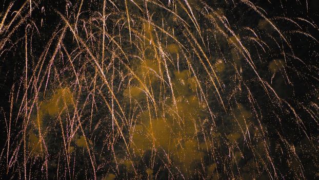 A colourful explosion of fireworks in the night sky