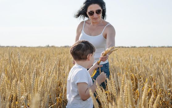 Happy family on a summer walk, mother and child walk in the wheat field and enjoy the beautiful nature, at sunset