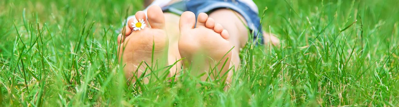 Children's feet with chamomile on green grass. Selective focus. nature.