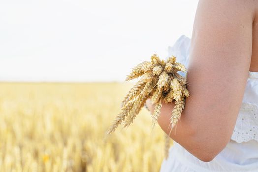 Young brunette woman walking across golden field holding heap of rye and wearing straw hat lit by sunset light, copy space