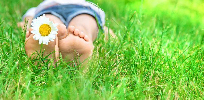 Children's feet with chamomile on green grass. Selective focus. nature.