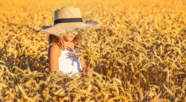 A child in a wheat field. Selective focus. nature.