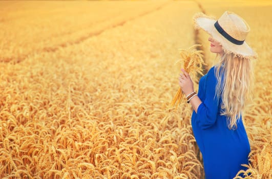 Pregnant woman in a wheat field. Selective focus. nature.