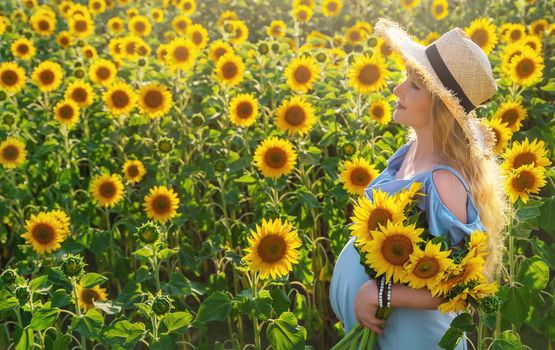 A pregnant woman in a field of sunflowers. Selective focus. nature.