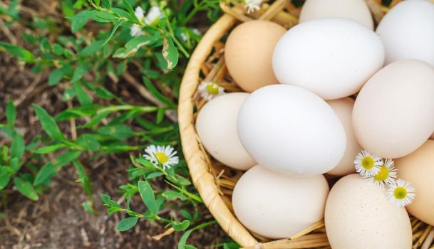 Homemade chicken eggs in a basket. Selective focus. nature.