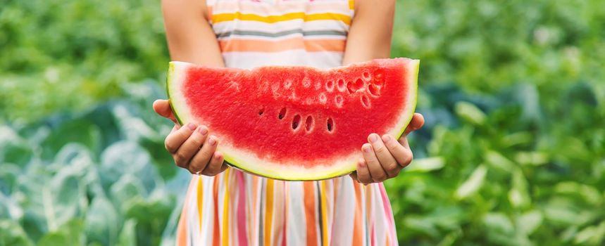 A child on a picnic eats a watermelon. Selective focus. food.