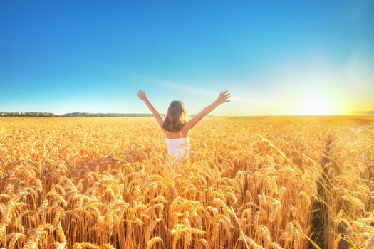 A child in a wheat field. Selective focus. nature.