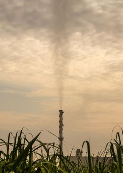 Smoke from the boiler and the steam from the cooling tower in the power plant. It is located in the middle of an agricultural area