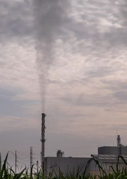 Smoke from the boiler and the steam from the cooling tower in the power plant. It is located in the middle of an agricultural area