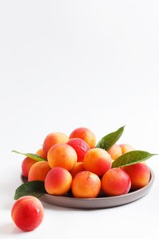 Apricots in a plate on a white background. Copy space