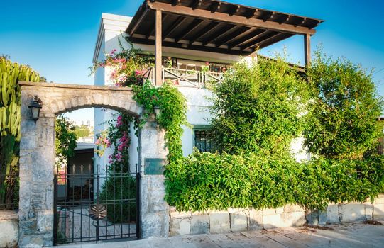 View of a Beautiful House Exterior a on a Turkey Street, lots of greenery, trees, flowers, good for living, eco-friendly, beautiful architecture