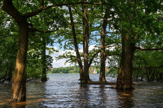 Panoramic landscape of Brucher reservoir at summertime, recreation and hiking area of Bergisches Land, Germany