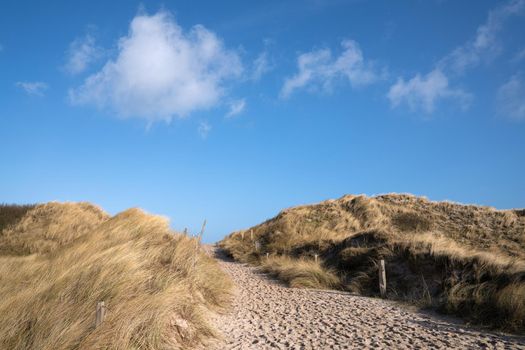 Panoramic image of sand dunes against blue sky, Sylt, North Frisia, Germany 