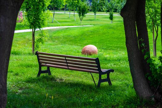 Park bench in the summer  park