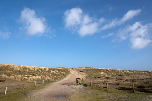 Panoramic image of sand dunes against blue sky, Sylt, North Frisia, Germany 