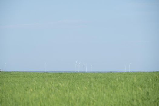 Wind mills farm on warm sunny day. Renewable Energy Concept Windmills Farm at Sunset, Windmills for electric power production. Wind turbines generating electricity. Download photo