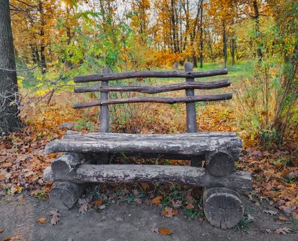 Forest wooden bench scene. Wooden bench in deep forest. Wooden bench in forest. bench in autumn park. empty bench in park