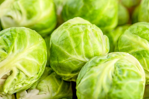 Brussels sprouts close up, background of fresh green fruits of brussels sprouts.