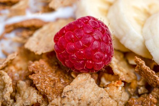 Muesli. Breakfast, healthy food and diet. Muesli with fruits in a plate on a pink background. Blueberries, strawberries and raspberries on a background of muesli flakes. Print banner with copy space.
