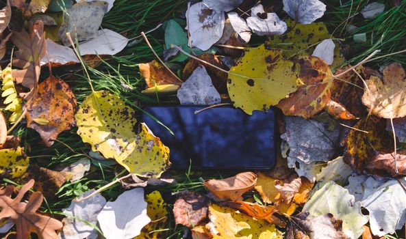 Phone in leaves. Lost mobile phone dropped from a woman pocket in the forest. Smartphone lying on the ground in the leaves. lost phone concept, data loss. autumn time