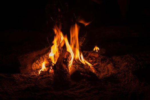 Campfire at tourist camp at nature. Flame on dark abstract background. Cooking barbecue outdoor. Hellish fire element. Fuel, power and energy