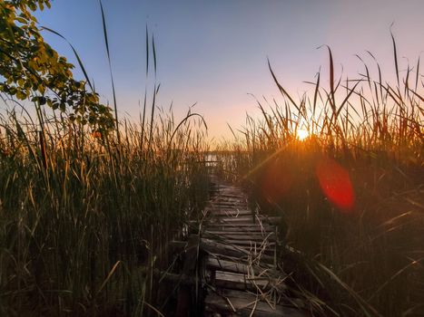 sunset over the river. pathway trough the reed at sunrise. Sunlight through the reed. autumn landscape. Natural tunnel, fairy scene.