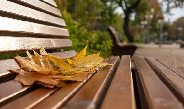background autumn time , leaves on bench, autumn background