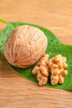 Walnut. Walnut fruits lie on green leaves with water drops. Green leaves of walnut on a wooden background