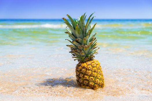 Pineapple on the beach. Pineapple fruit in the sea waves. Leisure in summer and Summer vacation concept. High quality photo