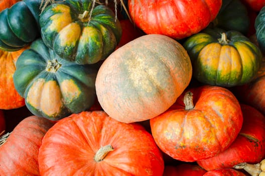 Halloween pumpkin. Pumpkin on a background of hay in a rustic style. Background for Halloween. Place for text.