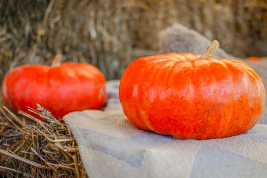 Halloween pumpkin. Pumpkin on a background of hay in a rustic style. Background for Halloween. Place for text.