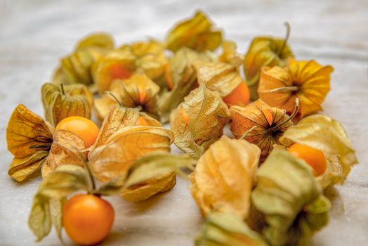Physalis fruits ,Physalis peruviana, against a light background. Golden berry, Ripe physalis fruits.