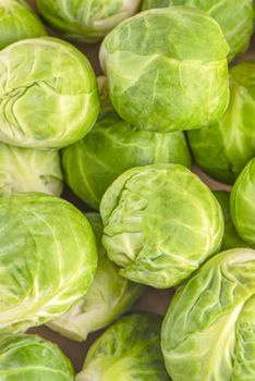 Brussels sprouts close up, background of fresh green fruits of brussels sprouts.