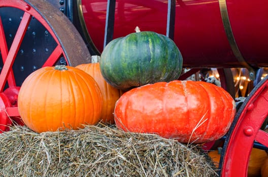 Halloween multicolored pumpkin. Pumpkin on a background of hay in a rustic style. Background for Halloween. Place for text.