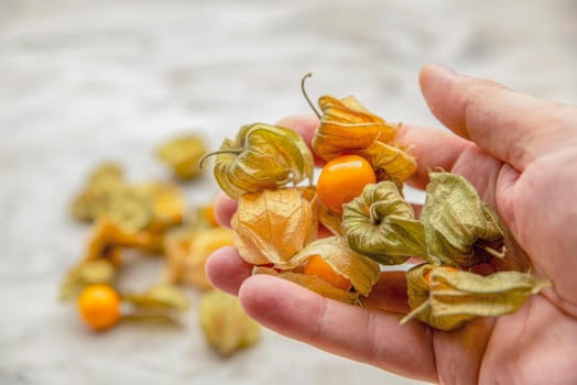 Physalis in hand. The hand takes the sweet yellow physalis berries, the ripe physalis fruits lie on the marble tabletop. Place for your text, for design or product label.