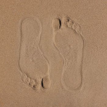 Top view of footprint of persons bare foot, lonely footprint of man on wet sand. Sandy beach on sunny day, traces of human foot, abstract texture. Copy space in left. Sea, coastline, nature concept