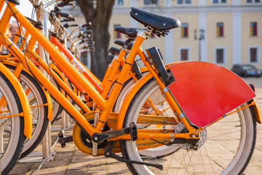 City orange bicycles, ecological transport, bicycle rental for tourists.