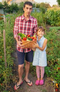 A man farmer and a child are holding a harvest of vegetables in their hands. Selective focus. nature.