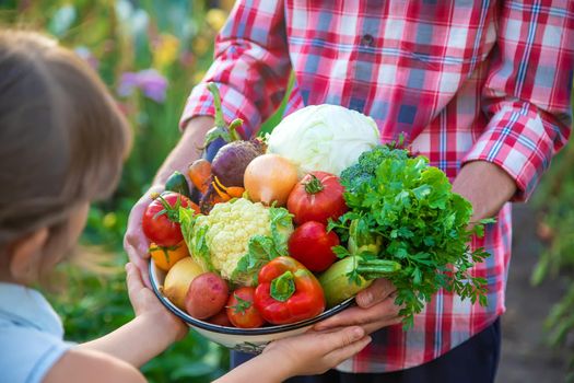 A man farmer and a child are holding a harvest of vegetables in their hands. Selective focus. nature.