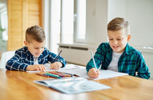 portrait of two boys brothers doing their homework at home