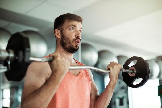 Portrait of healthy fit man at the gym exercising lifting weights