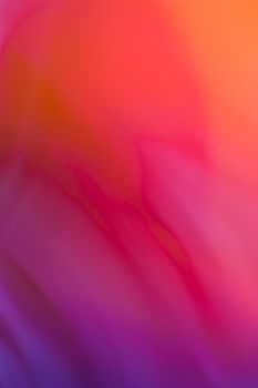 Abstract vertical background of purple, lilac, red, orange with a smooth gradient. Backdrop