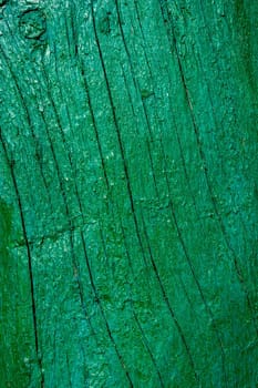 Old green cracked paint on a wooden board. Vertical banner background. Backdrop